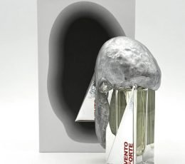 Vento Forte - Filippo Sorcinelli