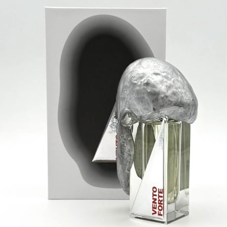 Vento Forte - Filippo Sorcinelli