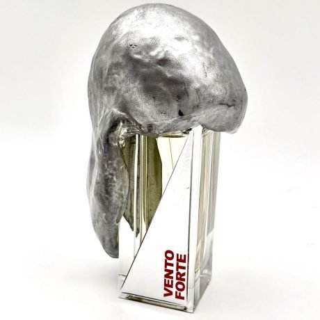 Vento Forte - Filippo Sorcinelli