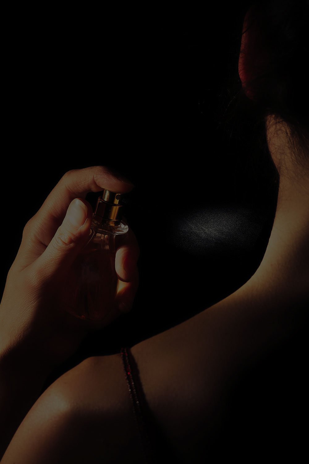 Profumeria Artisitica e di Nicchia Messina - The Perfume Luxe